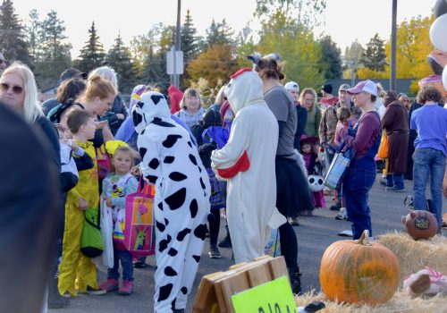 Medical Lake Fall Festival Crowd