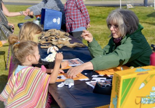 Medical Lake Fall Festival Games & Activities